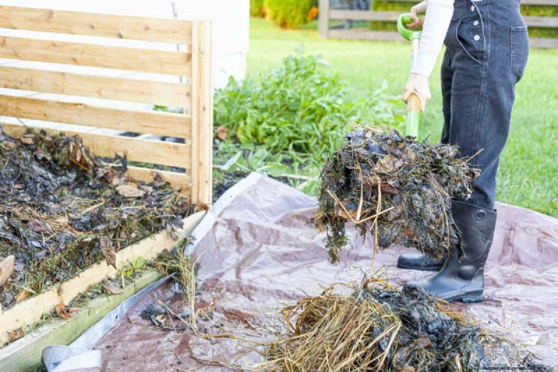 Composting in Heat Waves: Expert Tips for a Thriving Pile