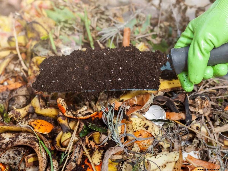 Composting in Heat Waves: Expert Tips for a Thriving Pile