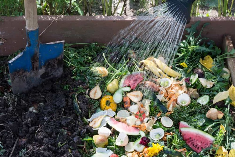 Composting in Heat Waves: Expert Tips for a Thriving Pile