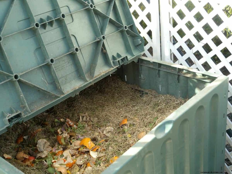 Composting in Heat Waves: Expert Tips for a Thriving Pile
