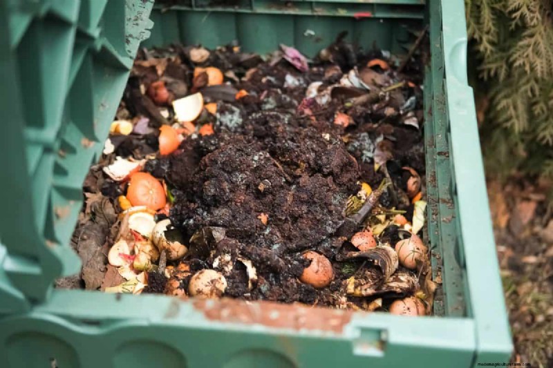 Composting in Heat Waves: Expert Tips for a Thriving Pile
