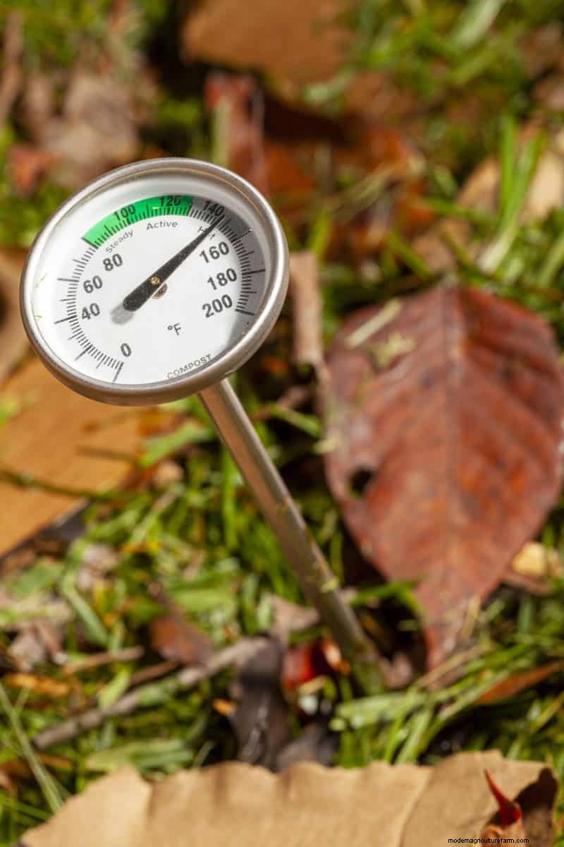 Composting in Heat Waves: Expert Tips for a Thriving Pile