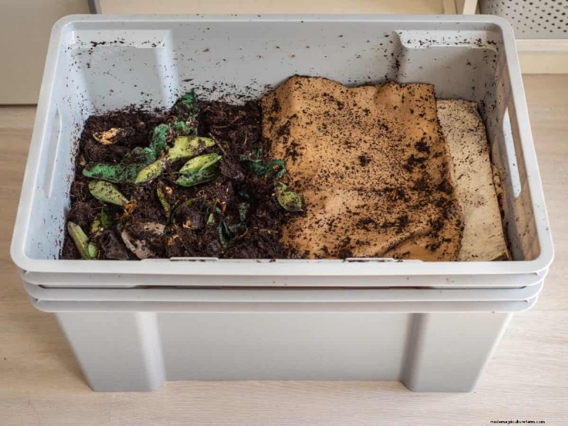 Composting in Heat Waves: Expert Tips for a Thriving Pile