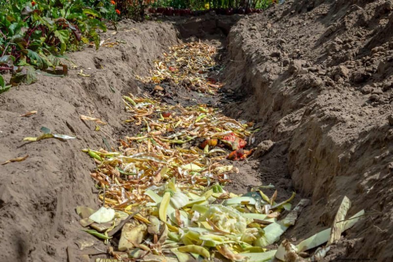 Composting in Heat Waves: Expert Tips for a Thriving Pile