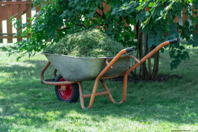 Composting in Heat Waves: Expert Tips for a Thriving Pile