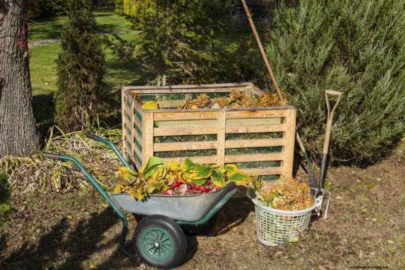 Composting in Heat Waves: Expert Tips for a Thriving Pile