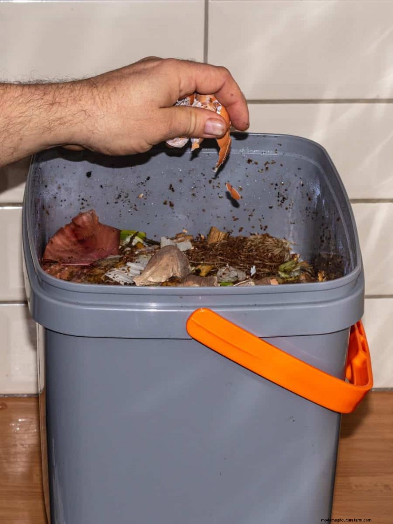 Composting in Heat Waves: Expert Tips for a Thriving Pile