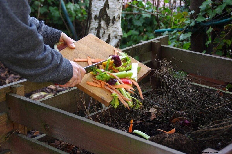 Composting in Heat Waves: Expert Tips for a Thriving Pile