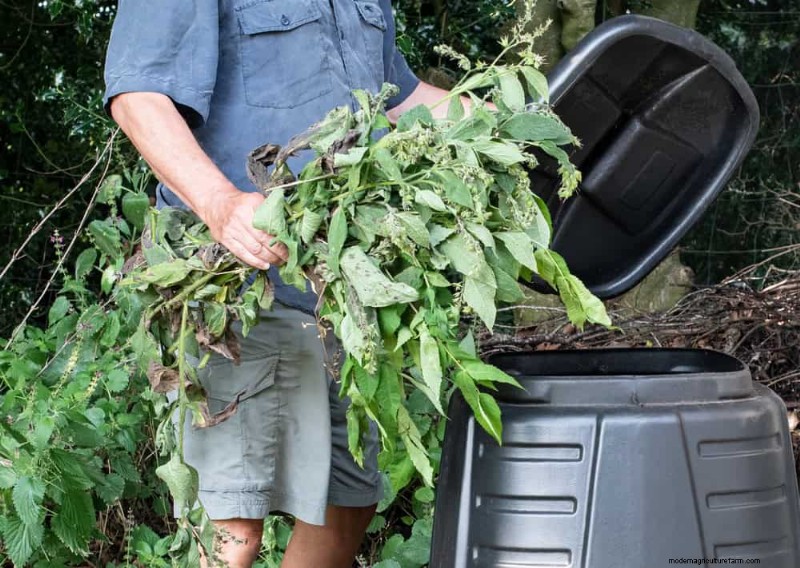 Composting in Heat Waves: Expert Tips for a Thriving Pile