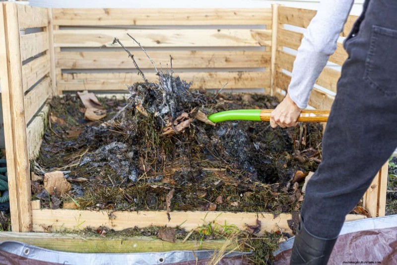 Composting in Heat Waves: Expert Tips for a Thriving Pile