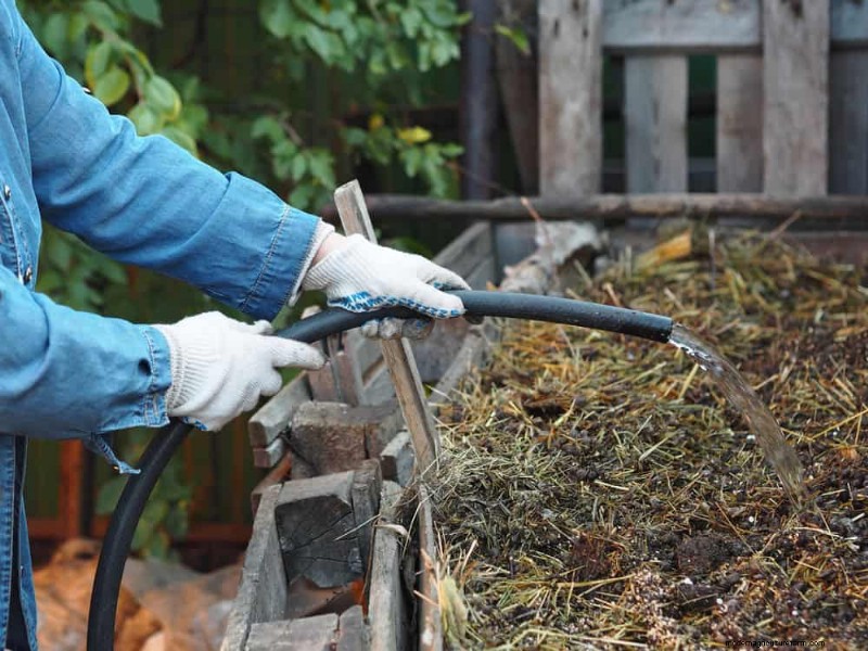 Composting in Heat Waves: Expert Tips for a Thriving Pile