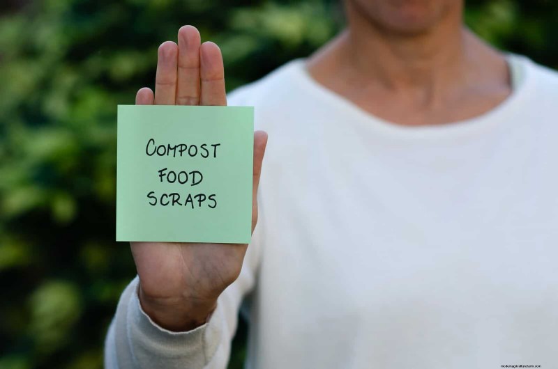 Backyard Composting Laws: Is It Legal in Your Area?