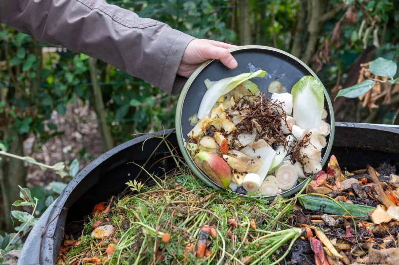 Backyard Composting Laws: Is It Legal in Your Area?