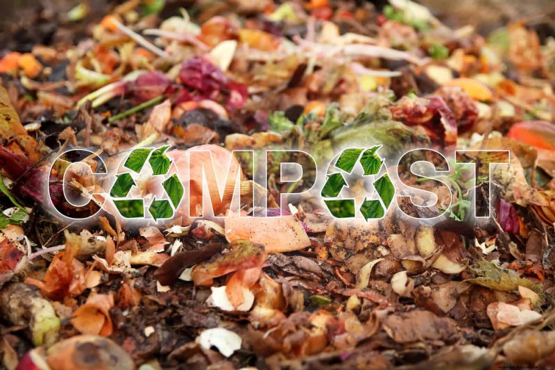 Backyard Composting Laws: Is It Legal in Your Area?