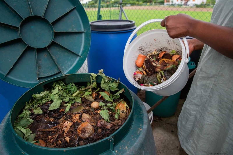 Backyard Composting Laws: Is It Legal in Your Area?