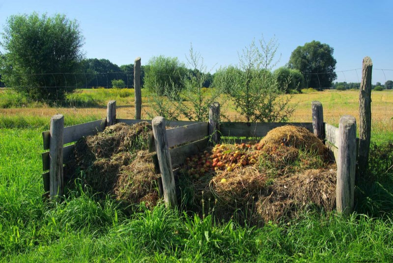 Backyard Composting Laws: Is It Legal in Your Area?