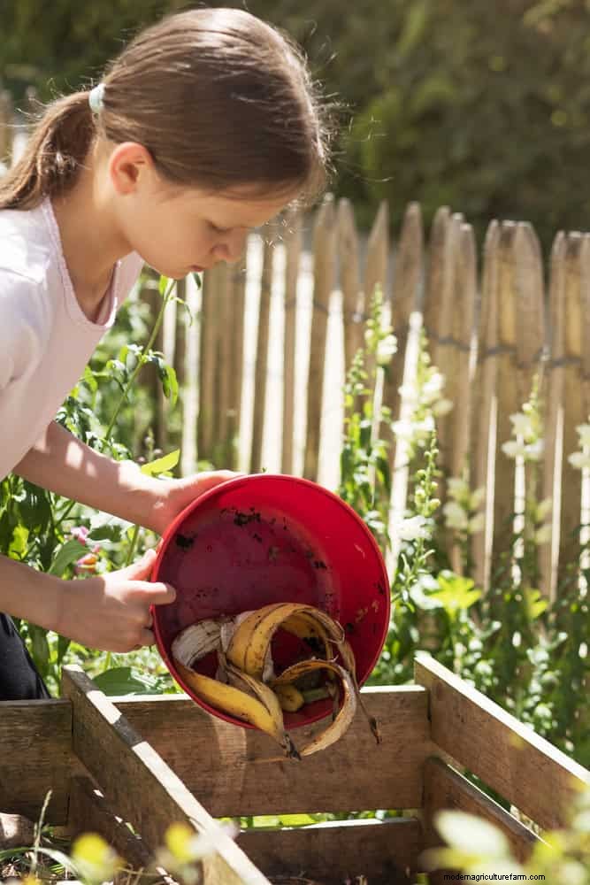 Backyard Composting Laws: Is It Legal in Your Area?