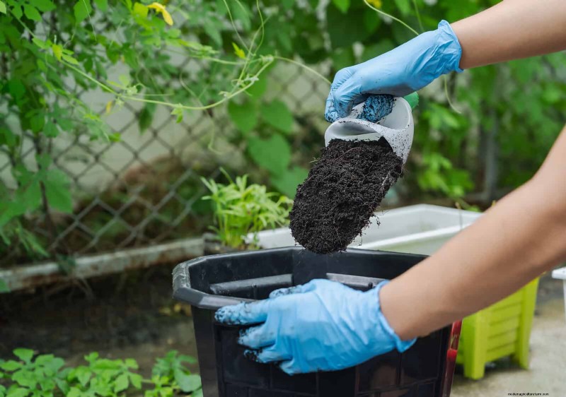 Backyard Composting Laws: Is It Legal in Your Area?