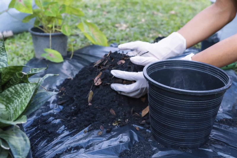 Backyard Composting Laws: Is It Legal in Your Area?
