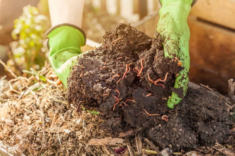 Backyard Composting Laws: Is It Legal in Your Area?