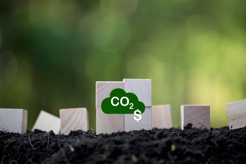Backyard Composting Laws: Is It Legal in Your Area?