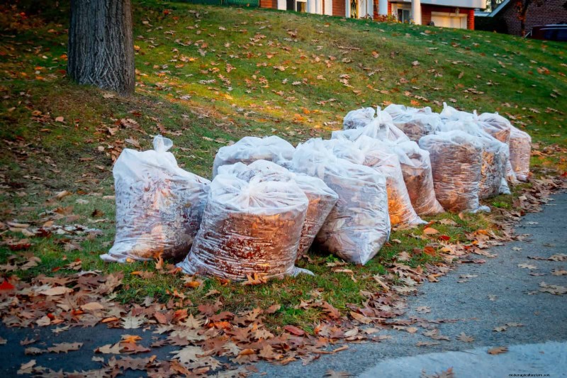 Backyard Composting Laws: Is It Legal in Your Area?