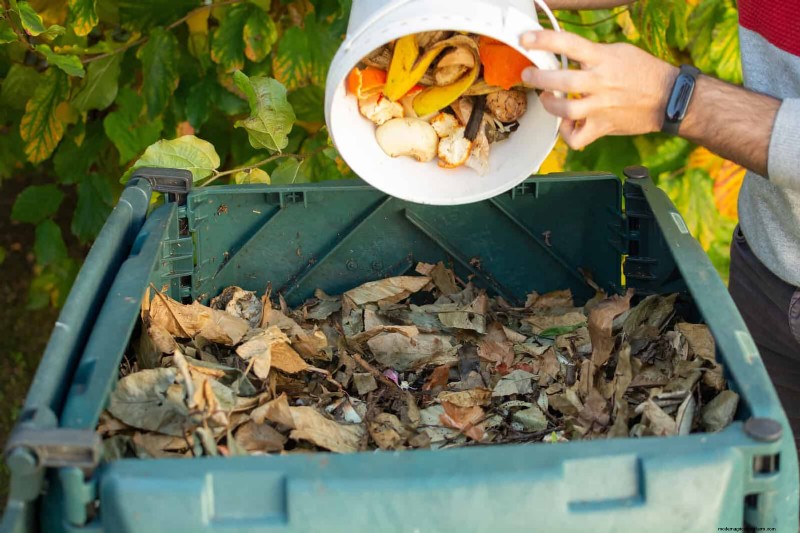 Backyard Composting Laws: Is It Legal in Your Area?