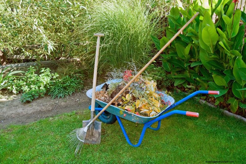 Fall Garden Planning: Your Guide to a Bountiful Autumn Harvest