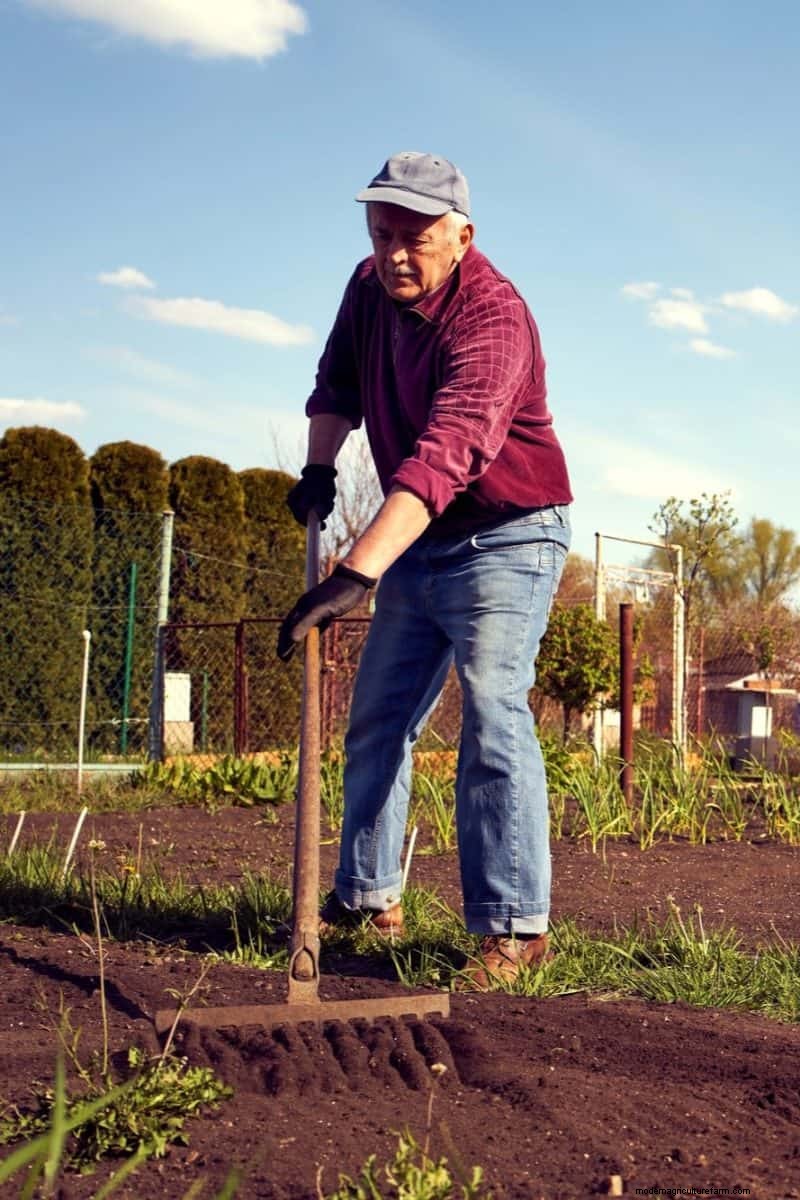 Fall Garden Planning: Your Guide to a Bountiful Autumn Harvest