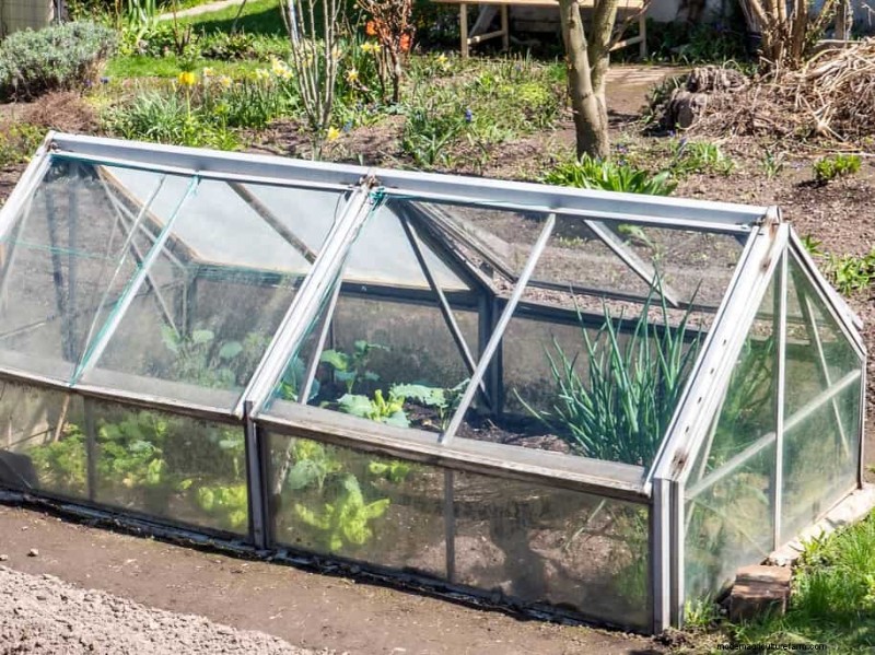 Fall Garden Planning: Your Guide to a Bountiful Autumn Harvest