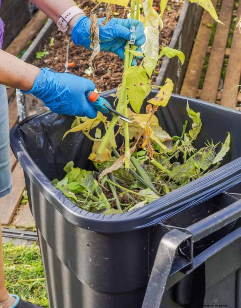 Fall Garden Planning: Your Guide to a Bountiful Autumn Harvest