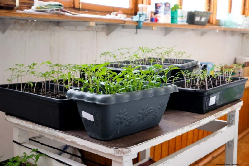 Creative Garden Hacks: 15 Recycled Items for a Sustainable Garden