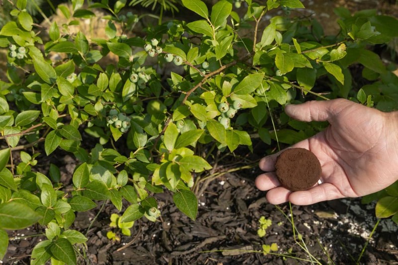 Creative Garden Hacks: 15 Recycled Items for a Sustainable Garden