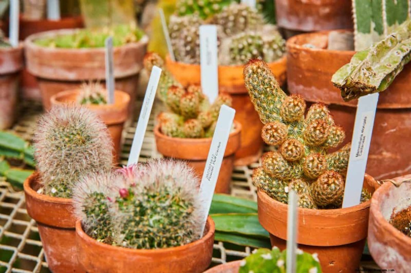 Creative Garden Hacks: 15 Recycled Items for a Sustainable Garden