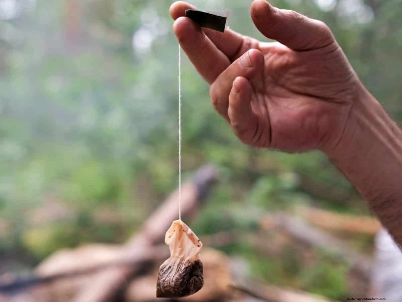 Creative Garden Hacks: 15 Recycled Items for a Sustainable Garden