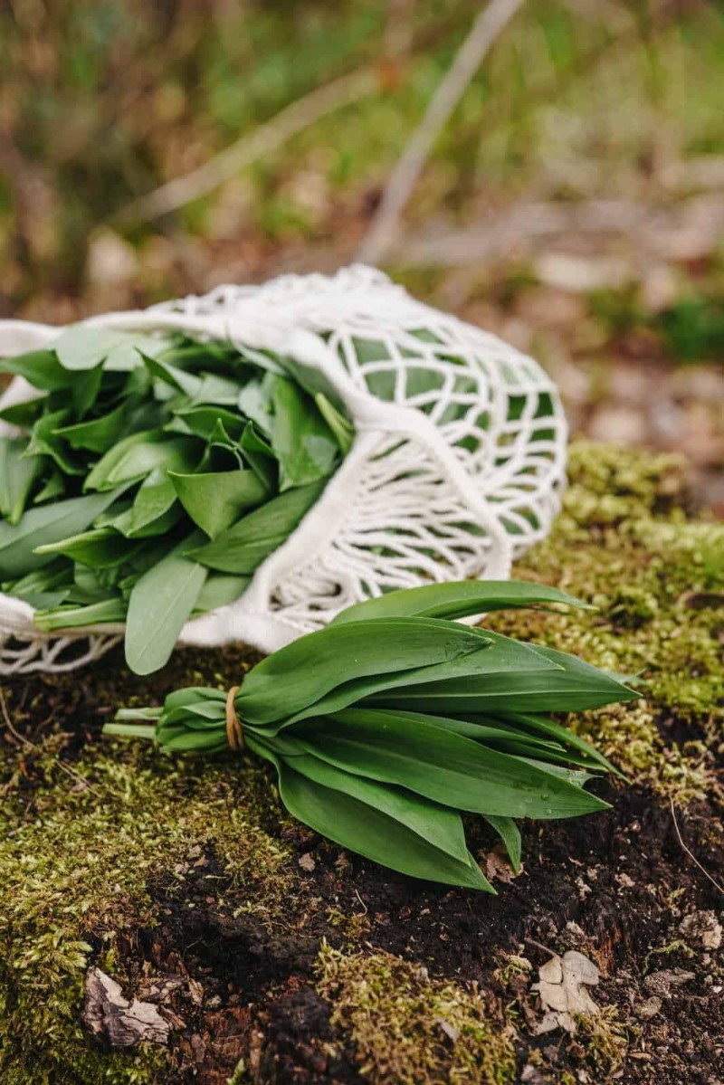 Creative Garden Hacks: 15 Recycled Items for a Sustainable Garden
