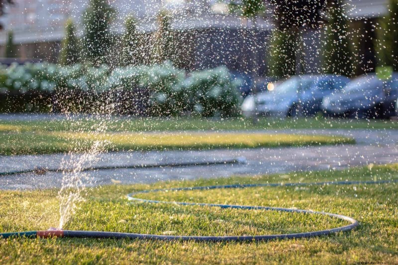 Save Water & Money: 9 Common Watering Mistakes to Avoid