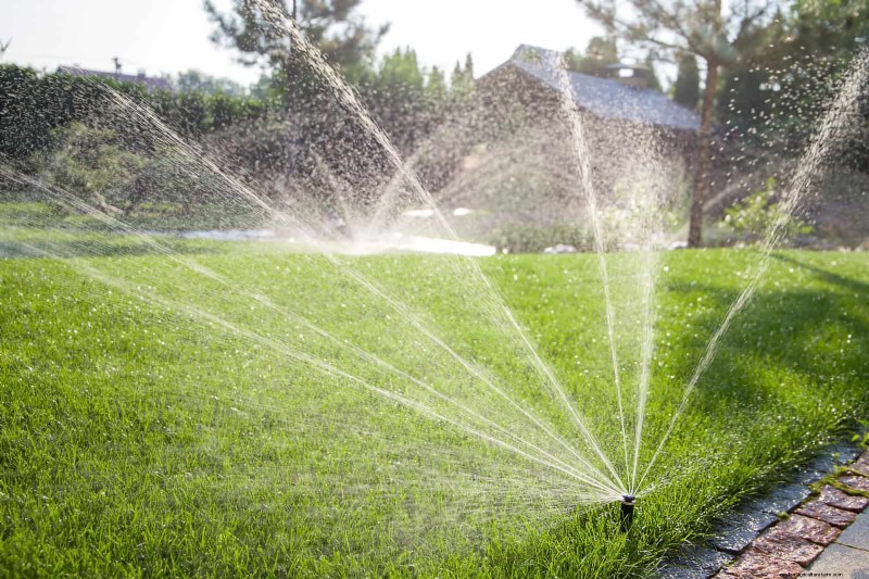 Save Water & Money: 9 Common Watering Mistakes to Avoid