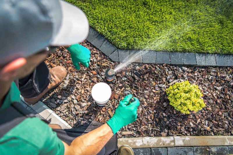 Save Water & Money: 9 Common Watering Mistakes to Avoid