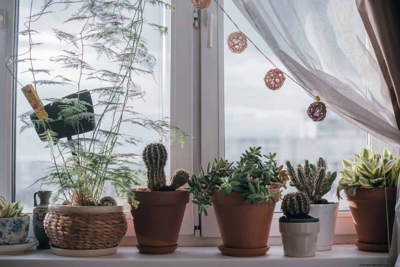 Save Water & Money: 9 Common Watering Mistakes to Avoid