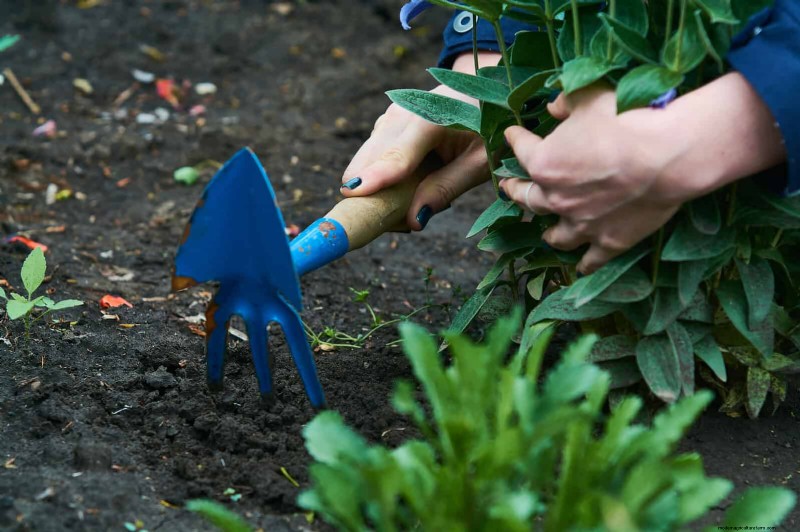 Save Water & Money: 9 Common Watering Mistakes to Avoid