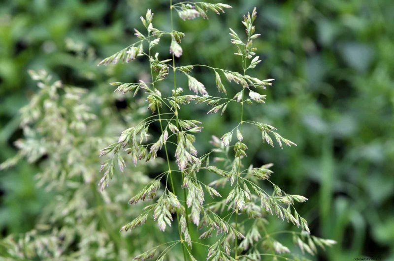 Save Water & Money: 9 Common Watering Mistakes to Avoid