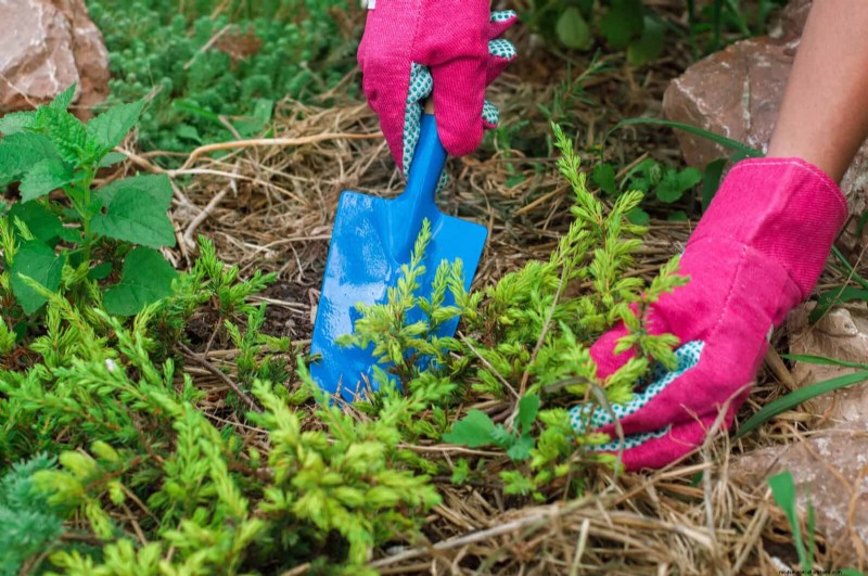 Save Water & Money: 9 Common Watering Mistakes to Avoid