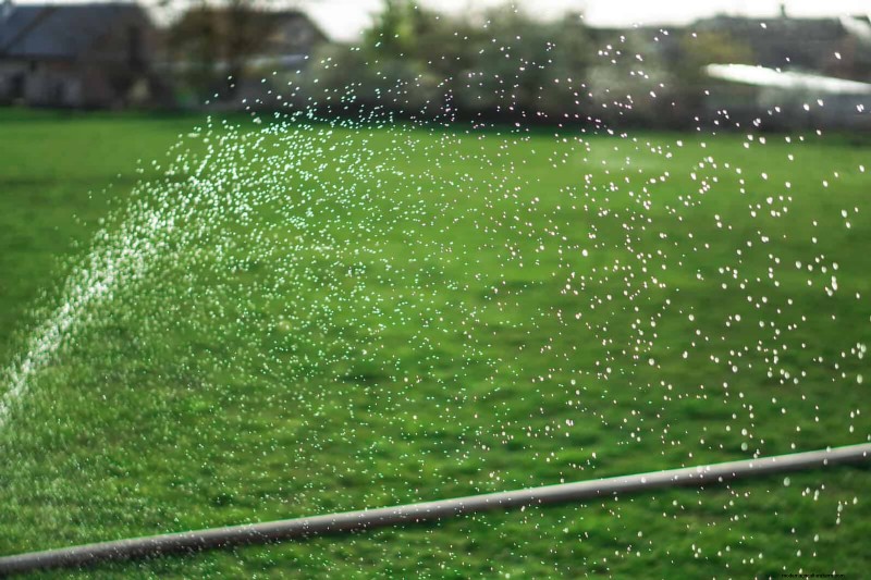 Save Water & Money: 9 Common Watering Mistakes to Avoid