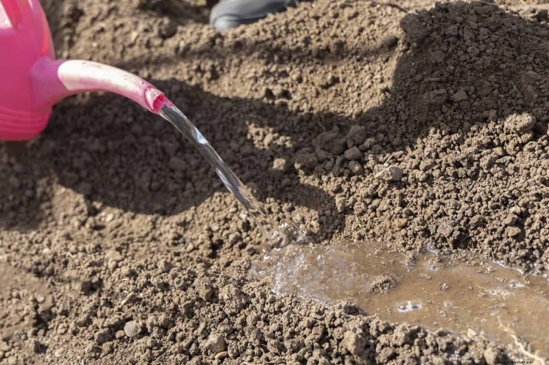 Save Water & Money: 9 Common Watering Mistakes to Avoid
