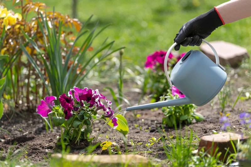 Save Water & Money: 9 Common Watering Mistakes to Avoid