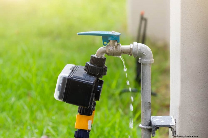 Avoid Costly Landscaping Mistakes: A Homeowner s Guide