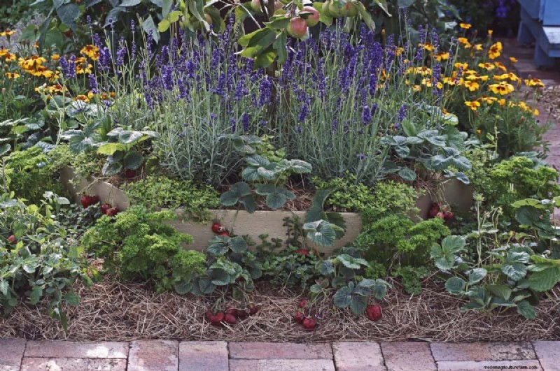 Avoid Costly Landscaping Mistakes: A Homeowner s Guide
