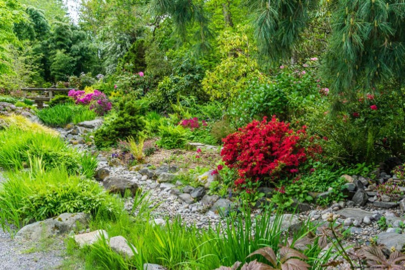 Avoid Costly Landscaping Mistakes: A Homeowner s Guide