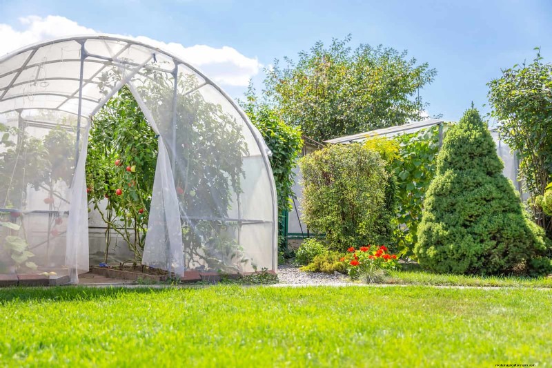 Best Shade Solutions for Delicate Plants: Protect Your Garden